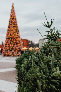 Christmas tree and decorations at the Manufaktura shopping mall
