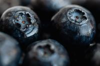 Blueberries Backgrounds