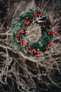 Kaboompics - A Very Merry Fresh Holly Wreath for Christmas