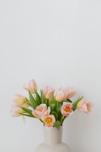 Kaboompics - Tulip flowers - candle - book - glasses
