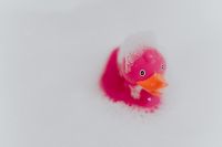 Kaboompics - Pink rubber ducky in foam
