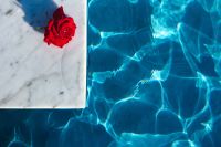 Kaboompics - Marble & fresh garden rose on the blue water of a swimming pool