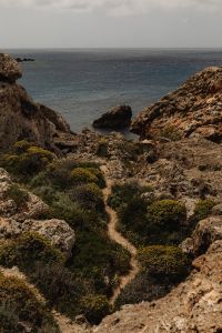 Kaboompics - Malta's Seaside Backgrounds - A Collection of Captivating Seascapes - Rocky Cliffs  and Coastal Flora