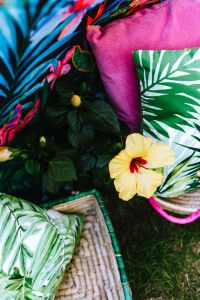 Kaboompics - Hibiscus Flower and Tropical Pillows