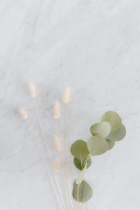 Kaboompics - Dried flowers and eucalyptus on white marble