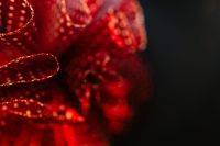 Kaboompics - Close-up of the red tulle bow