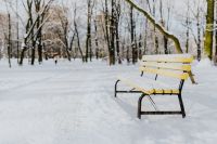 Yellow bench a wintery park