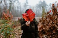 Kaboompics - The woman is holding the leaves of the red oak