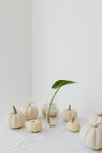 Kaboompics - Pumpkin on table