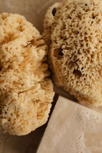 Kaboompics - Organic hygiene products - solid soap bar with natural sea sponge