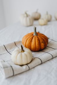 Kaboompics - Pumpkin on table