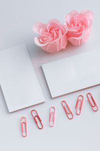 Kaboompics - Little sheets of paper with pink paper clips