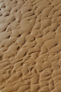 The abstract line designed by water up on sand texture