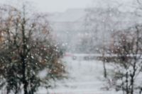 Kaboompics - Snowing