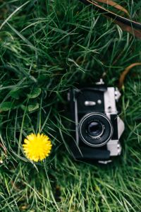 Kaboompics - Vintage camera with yellow flower