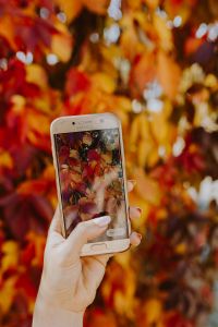 Kaboompics - The woman takes a picture of the autumn leaves with her phone
