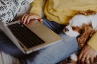 Kaboompics - A woman in a yellow sweater with a sweet dog uses a laptop
