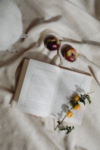 Kaboompics - Book - reading - blanket - evening