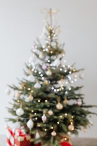 Kaboompics - Blurred Christmas Trees