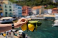 Lemons from Sorrento, Italy
