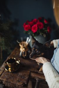 Kaboompics - Enjoying a finely brewed coffee and playing with a dog