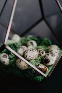 Kaboompics - Quail eggs
