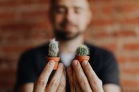Kaboompics - Miniature cacti in clay pots