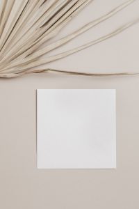 Kaboompics - blank card & palm