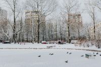 Kaboompics - Wintery Park