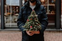 Kaboompics - The man is holding a small Christmas tree with red decorations