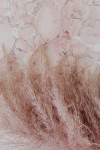 Kaboompics - Pink marble background and pampas grass