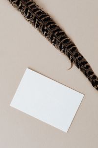 Kaboompics - Blank card & feather on beige background