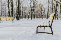 Kaboompics - Yellow benches a wintery park