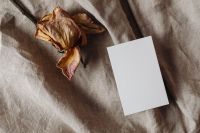 Kaboompics - Business card mockup on linen fabric - beige - greige