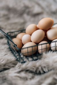 Kaboompics - Wire mesh basket with fresh farm eggs